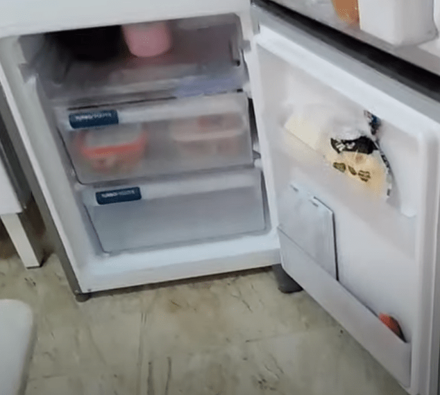 freezer geladeira electrolux DB44S